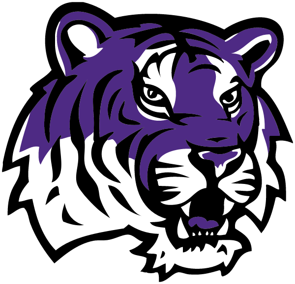 MULLAN HIGH SCHOOL Logo