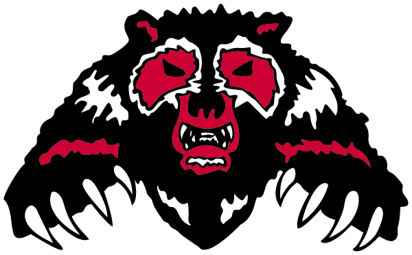 BOLIVAR-RICHBURG HIGH SCHOOL Logo