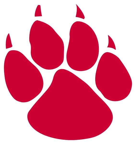 TWIN VALLEY Sideline Store Wildcats (WILMINGTON, VERMONT) Spirit Apparel & Accessories Store