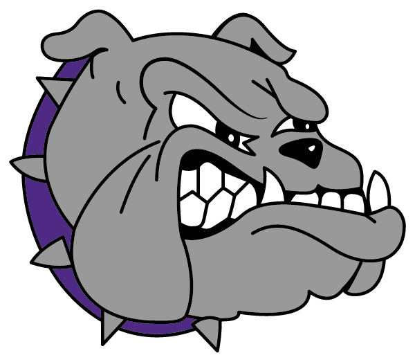 PIKE COUNTY HIGH SCHOOL Logo