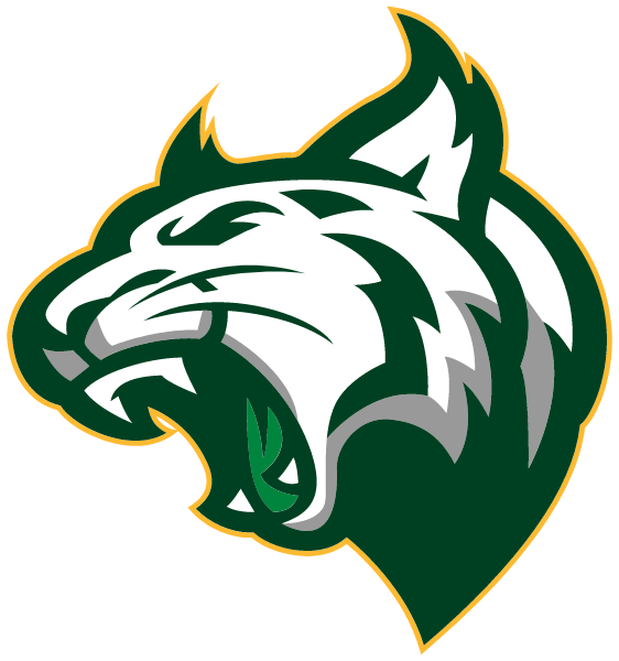 ADIRONDACK CENTRAL HIGH SCHOOL Logo