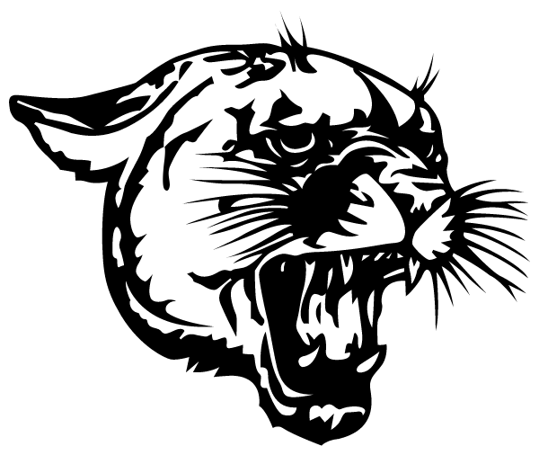 COLEMAN HIGH SCHOOL Logo