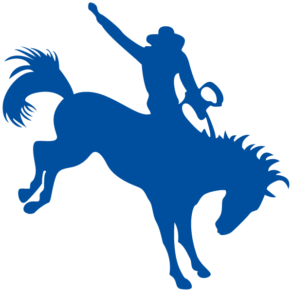 LITCHFIELD HIGH SCHOOL Logo