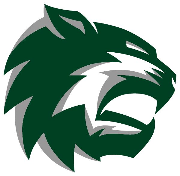 DE SOTO HIGH SCHOOL Sideline Store Wildcats (DE SOTO, Kansas) Spirit Apparel & Accessories Store