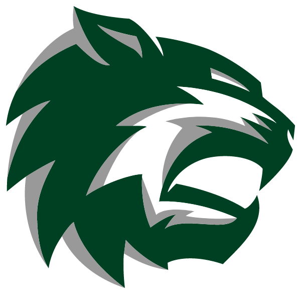 DE SOTO HIGH SCHOOL Logo