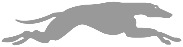 LISBON HIGH SCHOOL Logo