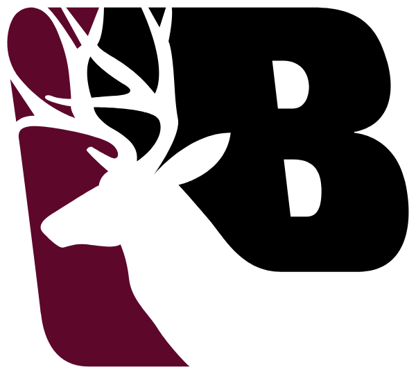 BUCHANAN HIGH SCHOOL Logo