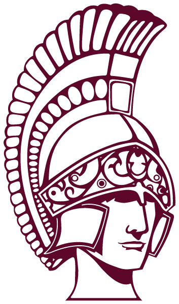 BOARDMAN HIGH SCHOOL Logo