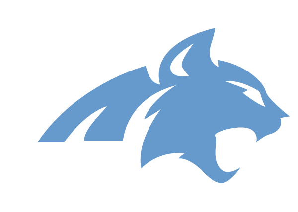 SKY VIEW HIGH SCHOOL Logo