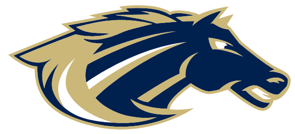 SHADOW RIDGE HIGH SCHOOL Logo