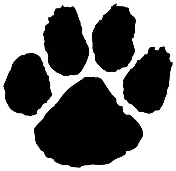 DANIEL HAND HIGH SCHOOL Logo