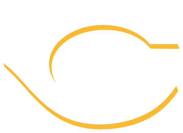 CEDAR CLIFF HIGH SCHOOL Logo