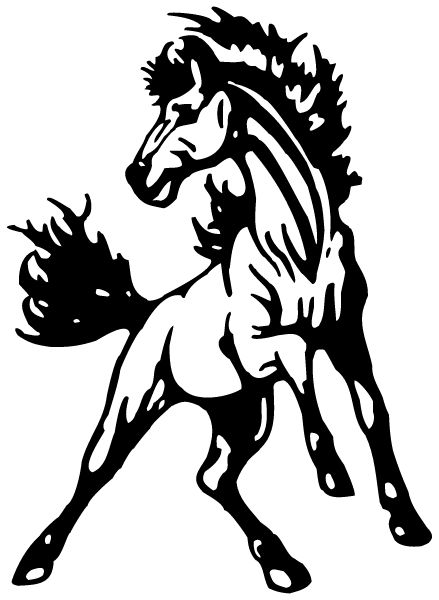 MERIDIAN HIGH SCHOOL Sideline Store Mustangs (DAYKIN, NEBRASKA) Spirit Apparel & Accessories Store