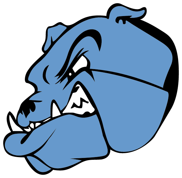 BRIDGEPORT HIGH SCHOOL Logo