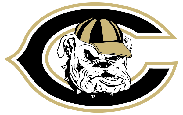 CAMDEN HIGH SCHOOL Logo