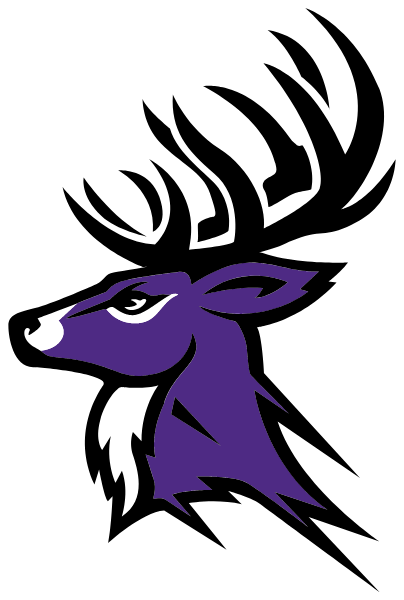 CLARKTON HIGH SCHOOL Logo