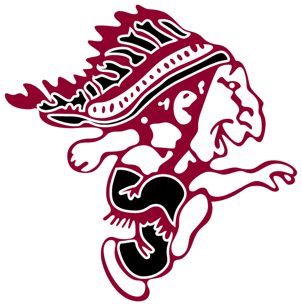 CANTON AREA HIGH SCHOOL Logo