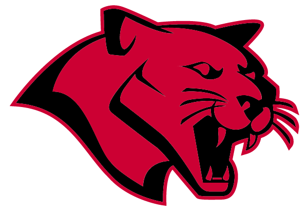 Detroit Leadership Academy Logo