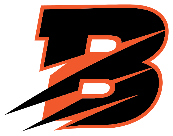 BYRON HIGH SCHOOL Logo