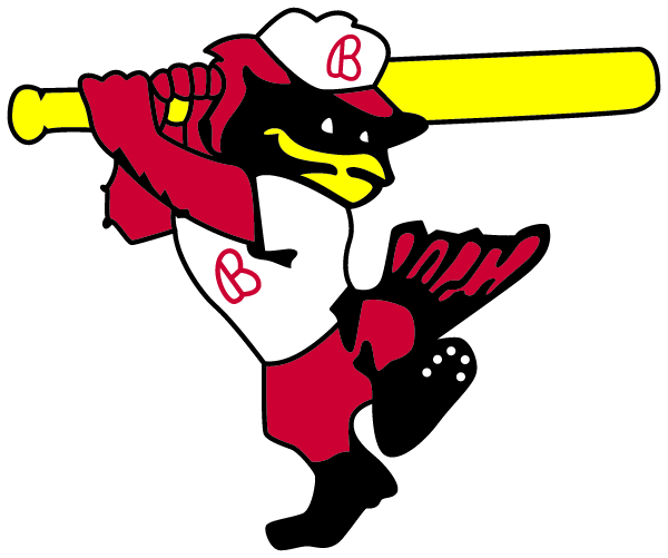 BELLAIRE HIGH SCHOOL Logo