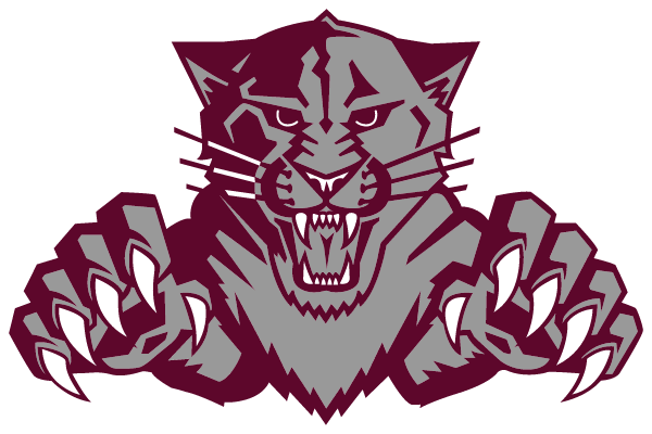 CONVERSE HIGH SCHOOL Logo