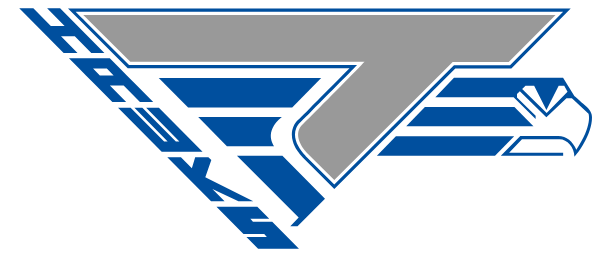 TRITON HIGH SCHOOL Logo