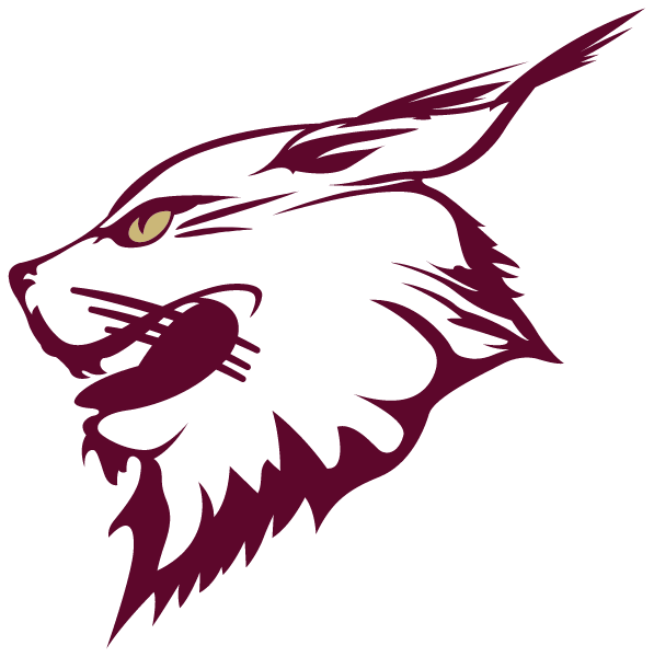 DIMOND HIGH SCHOOL Logo