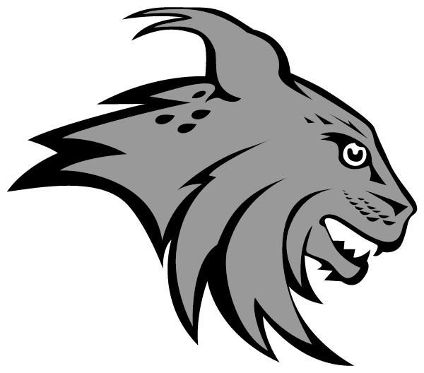 NORTH LINN COMMUNITY HIGH SCHOOL Logo