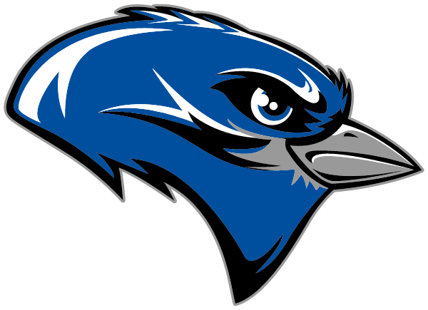 COLE CAMP HIGH SCHOOL Logo