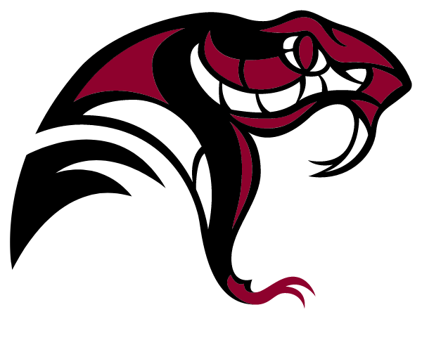 DESERT OASIS HIGH SCHOOL Logo