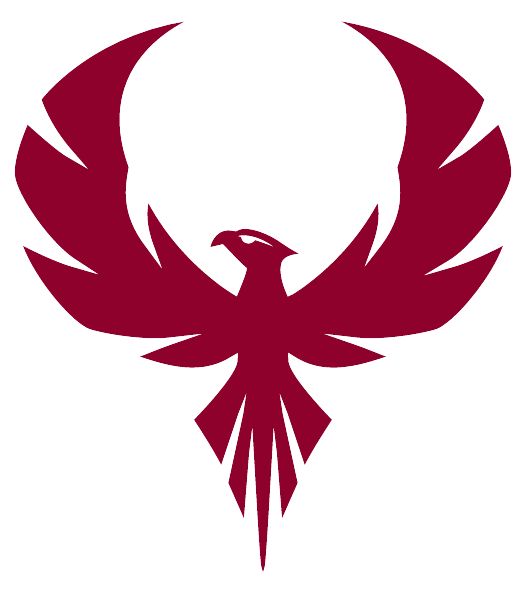 ROCK RIDGE HIGH SCHOOL Sideline Store Phoenix (ASHBURN, VIRGINIA) Spirit Apparel & Accessories Store