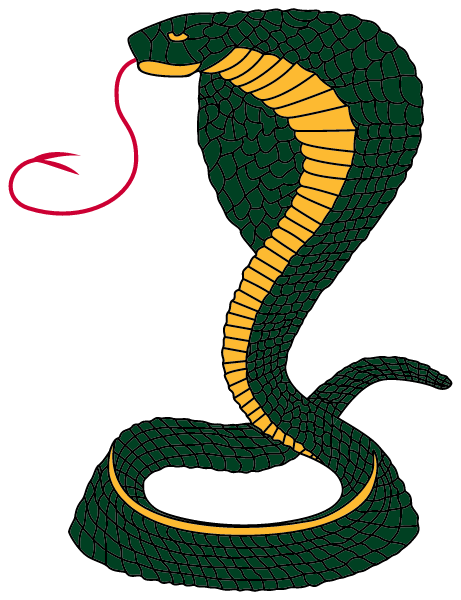 CARRABEC HIGH SCHOOL Logo