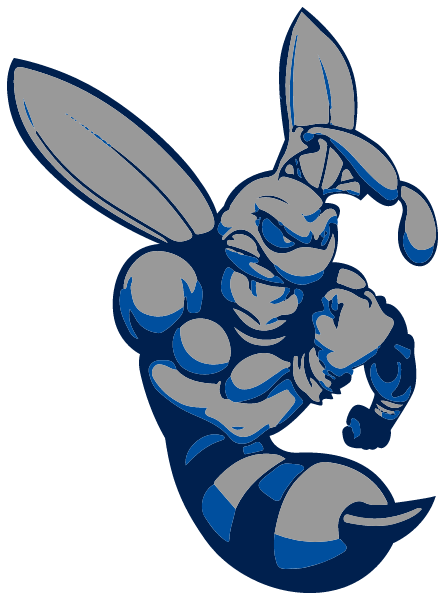 HILLSIDE HIGH SCHOOL Logo