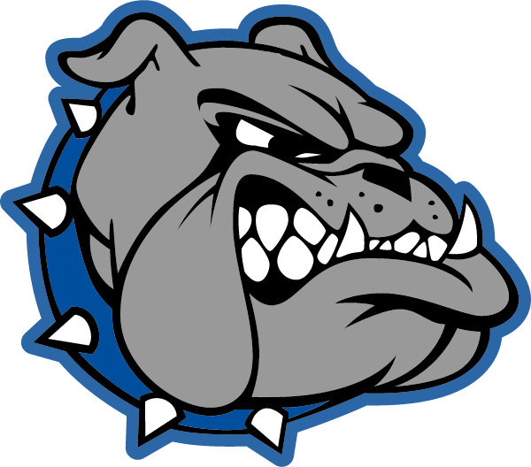 BALD KNOB HIGH SCHOOL Logo
