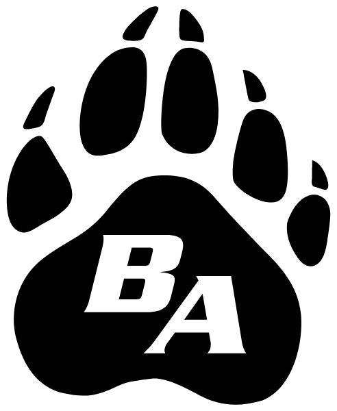 BRIDGTON ACADEMY Logo