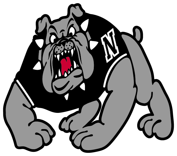 NIKISKI HIGH SCHOOL Logo