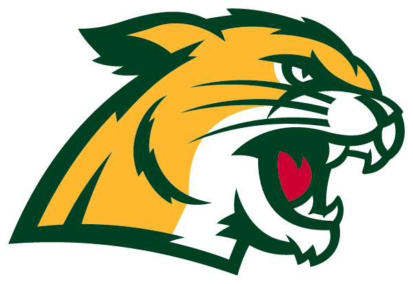 Northern Michigan University Logo