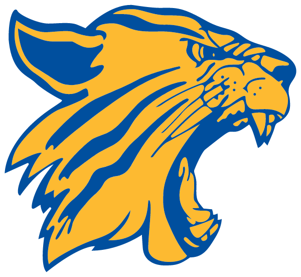 BIG SANDY HIGH SCHOOL Logo