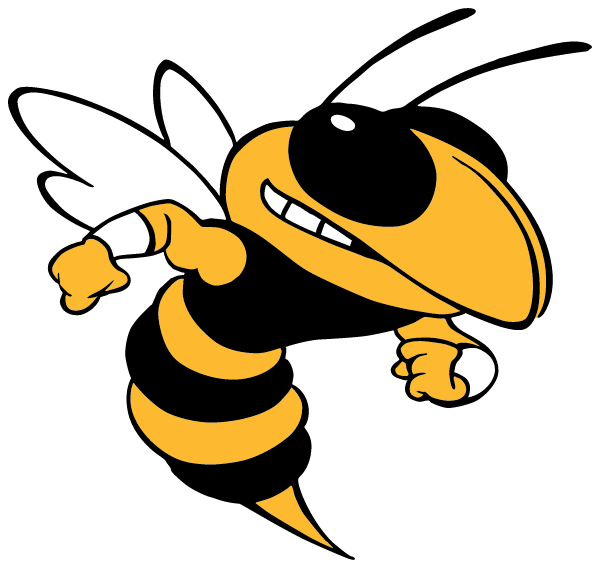SURRATTSVILLE HIGH SCHOOL Logo