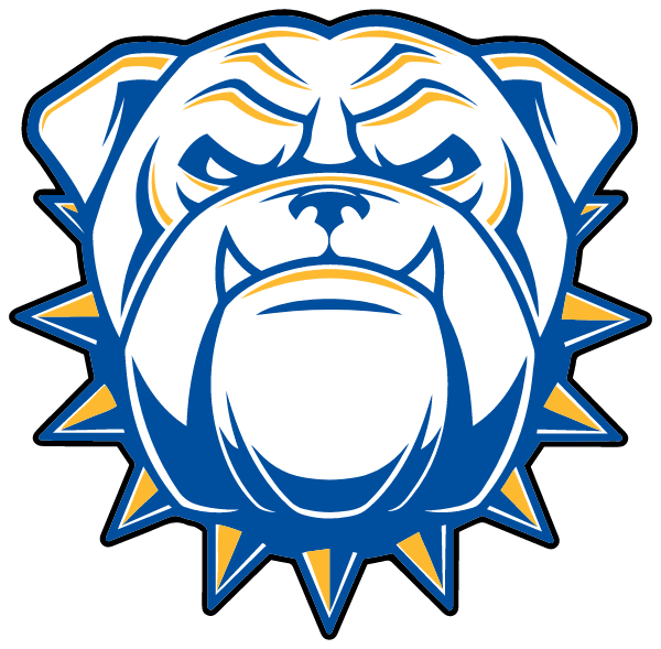 RIRIE HIGH SCHOOL Logo