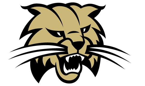 CAMBRIDGE HIGH SCHOOL Logo