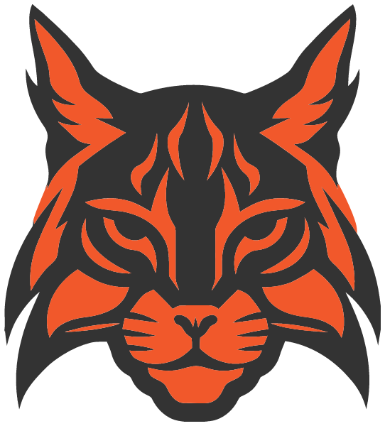 CLARION AREA HIGH SCHOOL Logo