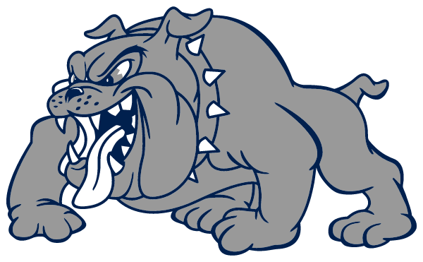 NORTH SARGENT HIGH SCHOOL Logo