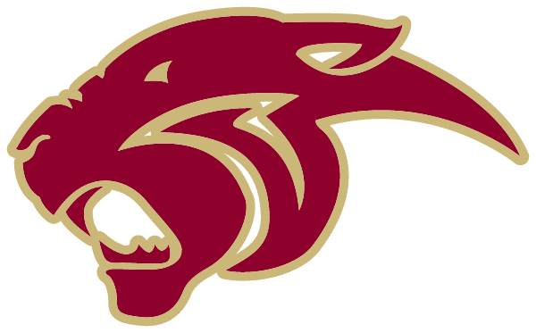 COUNTRYSIDE SENIOR HIGH SCHOOL Logo