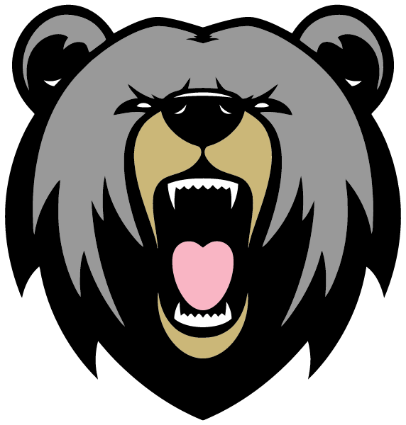 DELHI HIGH SCHOOL Logo