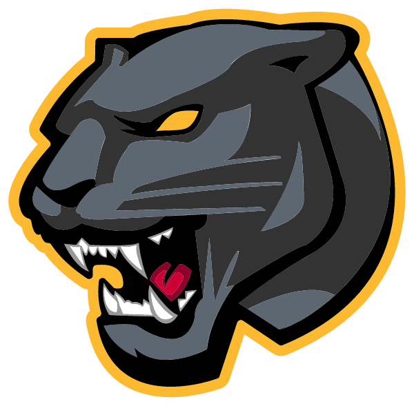 R NELSON SNIDER HIGH SCHOOL Logo