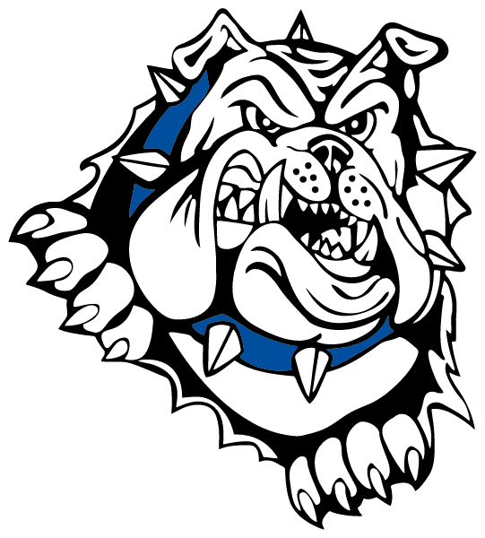 FULTON HIGH SCHOOL Logo