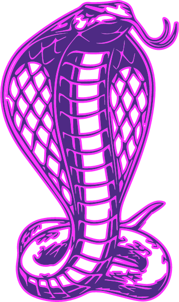 FORT PIERCE CENTRAL HIGH SCHOOL Logo