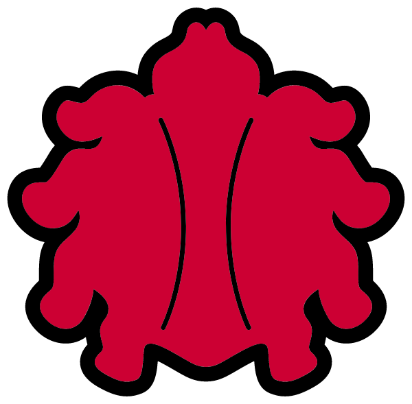 FORDYCE HIGH SCHOOL Logo