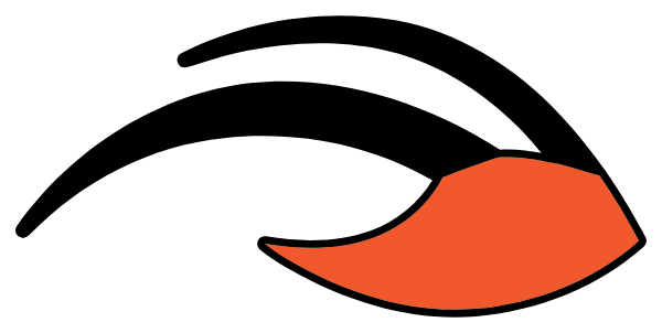 CHEBOYGAN HIGH SCHOOL Logo